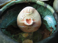 Image 			Earth-Yoni Blessing